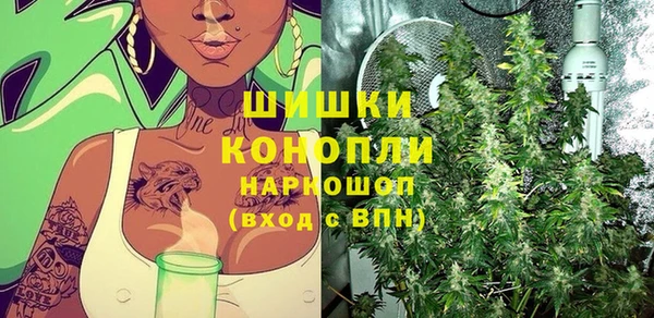 крисы Богородицк