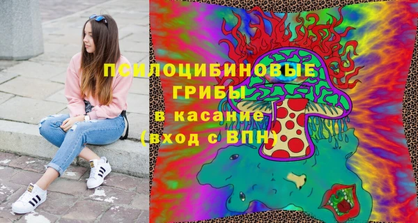a pvp Богданович