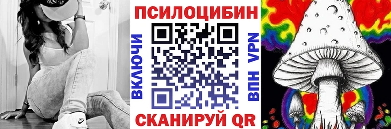 Купить закладки Родники Галлюциногенные грибы MAGIC MUSHROOMS